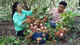 Rambutan fruit Harvest Rambutan fruit and cooking  Countryside Life TV [upl. by Kolosick833]