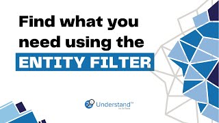 Find exactly what you need using the Entity Filter [upl. by Acirretahs59]
