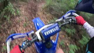 CRF250RX YZ250FX amp YZ250X Getting hit on the pecker by a tree 8324 [upl. by Octavla]