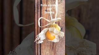 Video e foto per i stocks I colori dell’autunno Il frutto è physalis [upl. by Flo971]