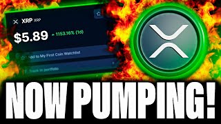 XRP PRICE IS PUMPING RIGHT NOW  WHATS HAPPENING [upl. by Nilyarg567]