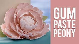 How to Make Gum Paste Peony Flowers [upl. by Yvon]