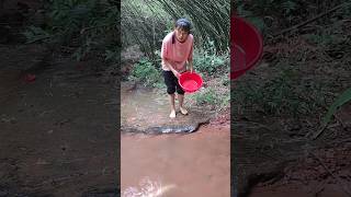 Chellanam fishing videos fishing freaks Chellanam fishing catch clean cook kerala [upl. by Meenen]