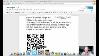 Vocaroo QR Codes and Google Docs [upl. by Penni]