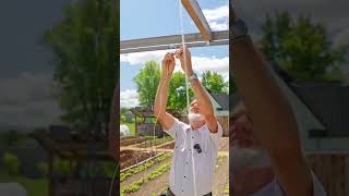 Discover Tomato Trellising Method Revealed By World Record Breaking Tomato Grower [upl. by Notgnihsaw]