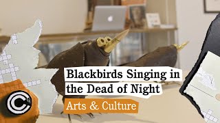 Blackbirds Singing in the Dead of Night [upl. by Gerstner6]