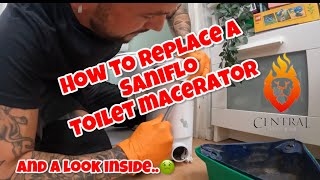 HOW TO REPLACE A SANIFLO Toilet macerator [upl. by Novihs]