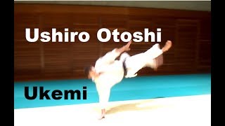 Advanced Aikido Ukemi Ushiro Otoshi Tutorial [upl. by Rentsch]