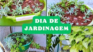 🌿 Dicas de Jardinagem [upl. by Otha]