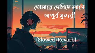 তোমারে দেখিতে লাগে অপূর্ব সুন্দরী Tomare Dekite Lage apurba sundori Bangla lofi songSlowedRevarb [upl. by Oicnevuj]