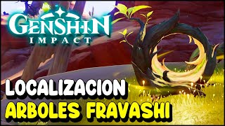 Genshin Impact Localización ÁRBOLES FRAVASHI  Actualización 36 [upl. by Cudlip458]