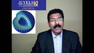 Polymeric Nano particles As Drug Delivery System by Dr S Sathesh Kumar [upl. by Greenburg663]