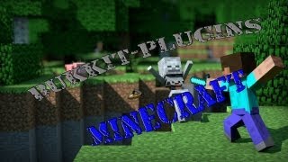 Einige wichtige Plugins  Minecraft Bukkit Server 164  172  German [upl. by Esenej]