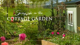 Spring Cottage Garden  Spring Garden Prep  Slow Living Ireland  Cottage Garden Tour [upl. by Joeann505]