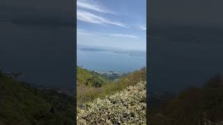 Biwako Valley overlooking Lake Biwako biwako japan japantravel japanvlog youtubeshorts [upl. by Sirovaj]