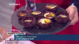 CUISINE Recette des Oursins aux Oeufs de Caille CCVB [upl. by Udelle]