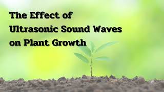 The Effect of Ultrasonic Sound Waves on Plant Growth  Waveform Wizards AiInnovator2024 CMKL AiCE [upl. by Genie]