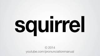 How to Pronounce Squirrel [upl. by Costanzia]