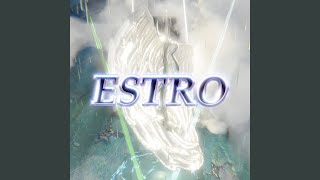 TEAM ESTRO [upl. by Ennybor]