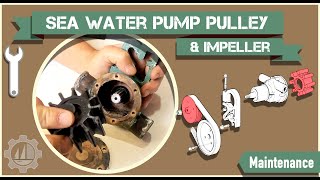 Impeller Change Failure and Sea Water Pump Pulley Replacement on our Volvo Penta Marina Diesel [upl. by Deyas]