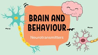 IB Psychology – Neurotransmission and Neurotransmitters [upl. by Viridissa]