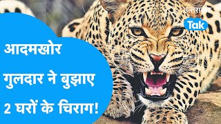 Attack of Leopard  आदमखोर गुलदार ने 1 ही दिन 22 मासूमों को बनाया अपना निवाला पहाड़ में फैली दहशत [upl. by Aehta991]