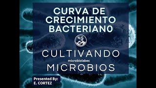 Descubre como funciona la curva bacteriana y el tipo de biorreactor [upl. by Mays]