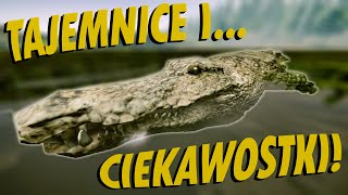 Tajemnice i ciekawostki w The Forest o których NIE MIAŁEŚ POJĘCIA [upl. by Cichocki]