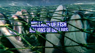 Commercial Fishing for Salmon Explained The Past The Present The Future [upl. by Hsoj]