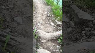 Devils Hole Hike hiking buffalonewyork youtubeshorts [upl. by Marybelle80]