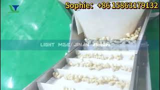 Pop Corn extruder machine Maize Puff corn snacks extrusion machinery [upl. by Linnet]