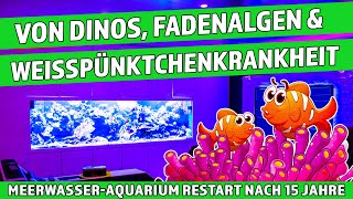 Meerwasser Aquarium  von Dinos Fadenalgen und der Weisspünktchen Krankheit [upl. by Rowland]