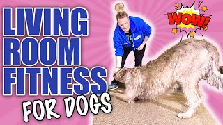 5 Tricks To Teach Your Dog That Will Exercise Them At Home [upl. by Layod]