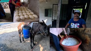 Asi se hacen los ricos quesos de rancho El Canal de Poncho [upl. by Jehial]