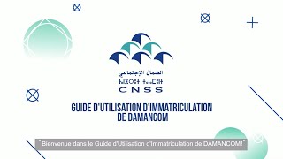 Nouveau DAMANCOM  Guide d’Utilisation d’Immatriculation [upl. by Leafar]