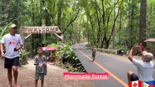 Manmade Forest in Bilar Bohol Philippines  Balikbayan 2024 [upl. by Ondine]