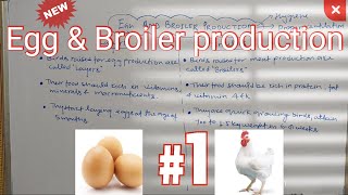 Class 9 Egg amp Broiler production  easy to learn  important for final exams 🦍🦍🦍 [upl. by Leitnahs]