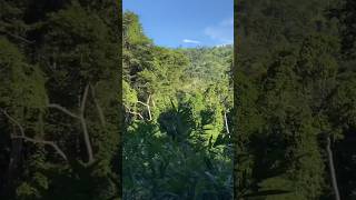 tanzania morogoro roadtrip tour forest forester [upl. by Llenel648]