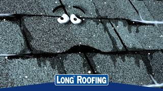 Long Roofing Winter Commercial  Talking Shingles [upl. by Sandberg]