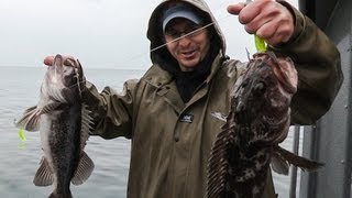 Oregon Coast Rockfish amp Lingcod [upl. by Onofredo]