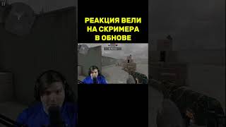 ВЕЛЯ УВИДЕЛ СКРИМЕРА so2 standoff2 веляstandoff2 веля стандофф2 [upl. by Sjoberg]