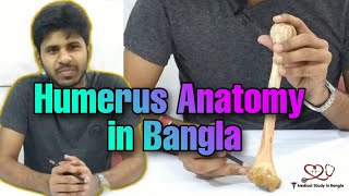 Humerus anatomy in bangla [upl. by Ferwerda]