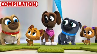 Best of Puppy Dog Pals Season 5  51 Minutes  Compilation  Disney Junior [upl. by Allare]