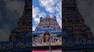 Vadapalani Gopuram vadapalanimurugantemple sasti [upl. by Aurelius]