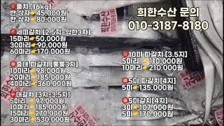 11월20일수 오늘의 판매생선 [upl. by Ydnys]