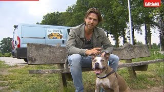 THOMAS CHECKT GEVAARLIJKE HONDEN  EDITIE NL [upl. by Aglo788]