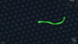 slitherio  gameplay  335 points [upl. by Leirrad229]