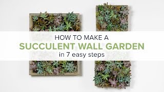 How to Make a Succulent Wall Garden [upl. by Senhauser]