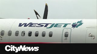 WestJet making progress on repairing planes damaged in Calgary hailstorm [upl. by Retnyw579]