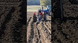 Massey Ferguson 35 Tractor with Ransomes at Newbury Ploughing Match  Saturday 19th October 2024 [upl. by Hgielac305]